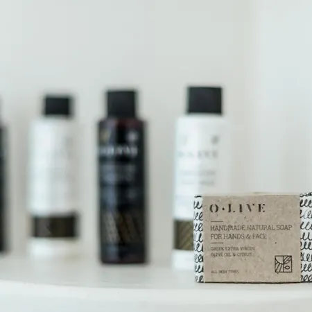 Villa Seaside Naxos • *