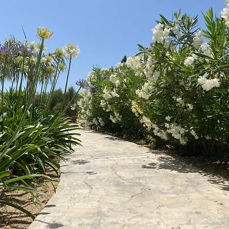 Βίλα Seaside Naxos • *